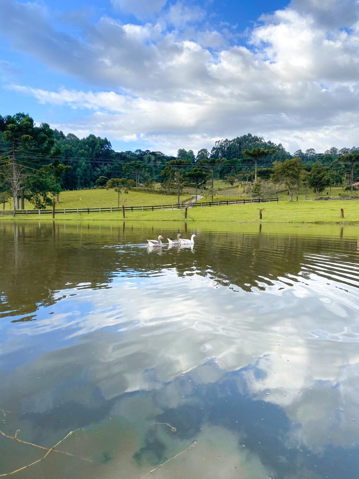 Pousada Rural Pavao - Suites E Chales Urubici Exterior foto